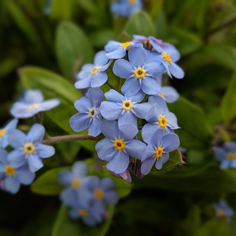 Meet your Posher, Mine